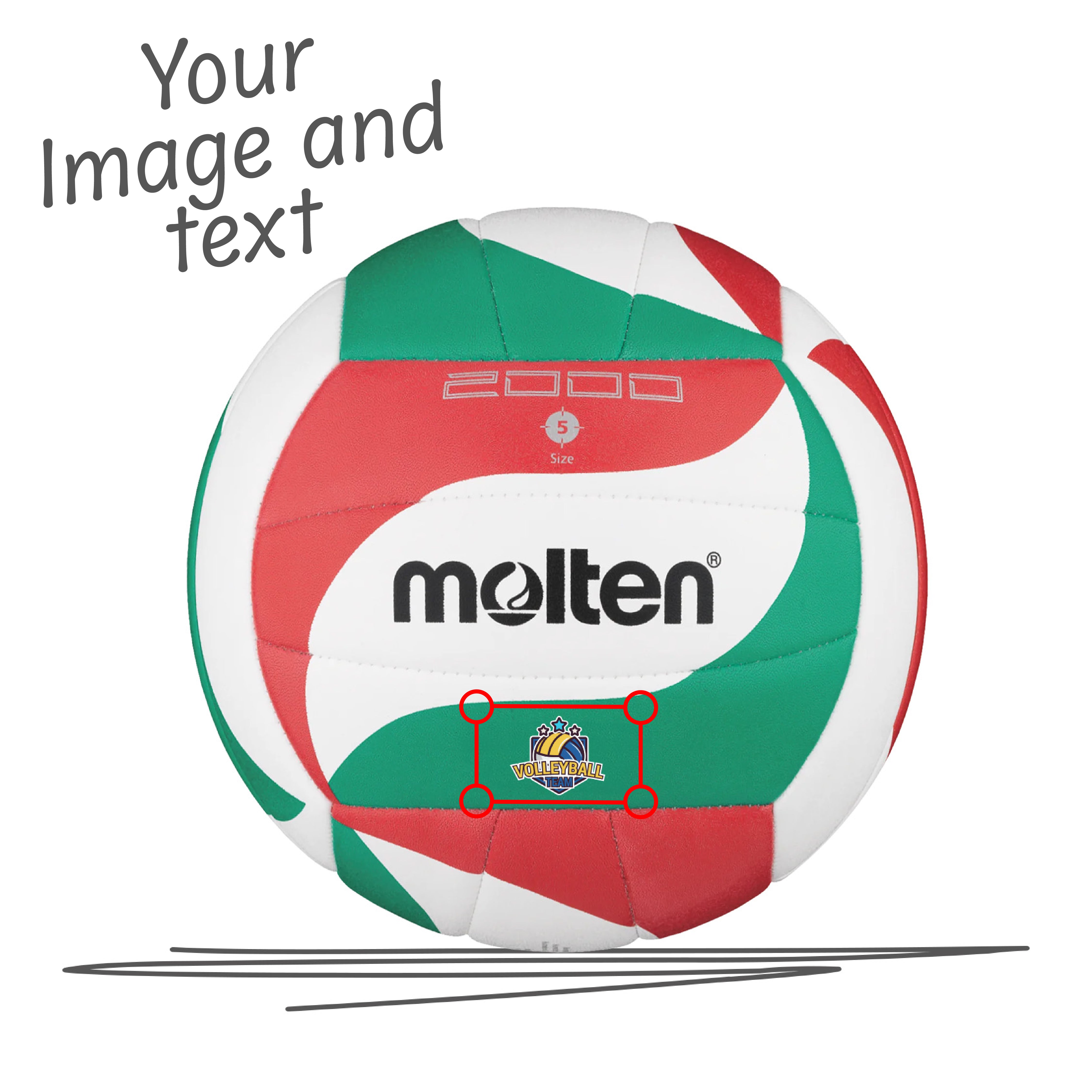 MOLTEN V5M2000-L Size 5