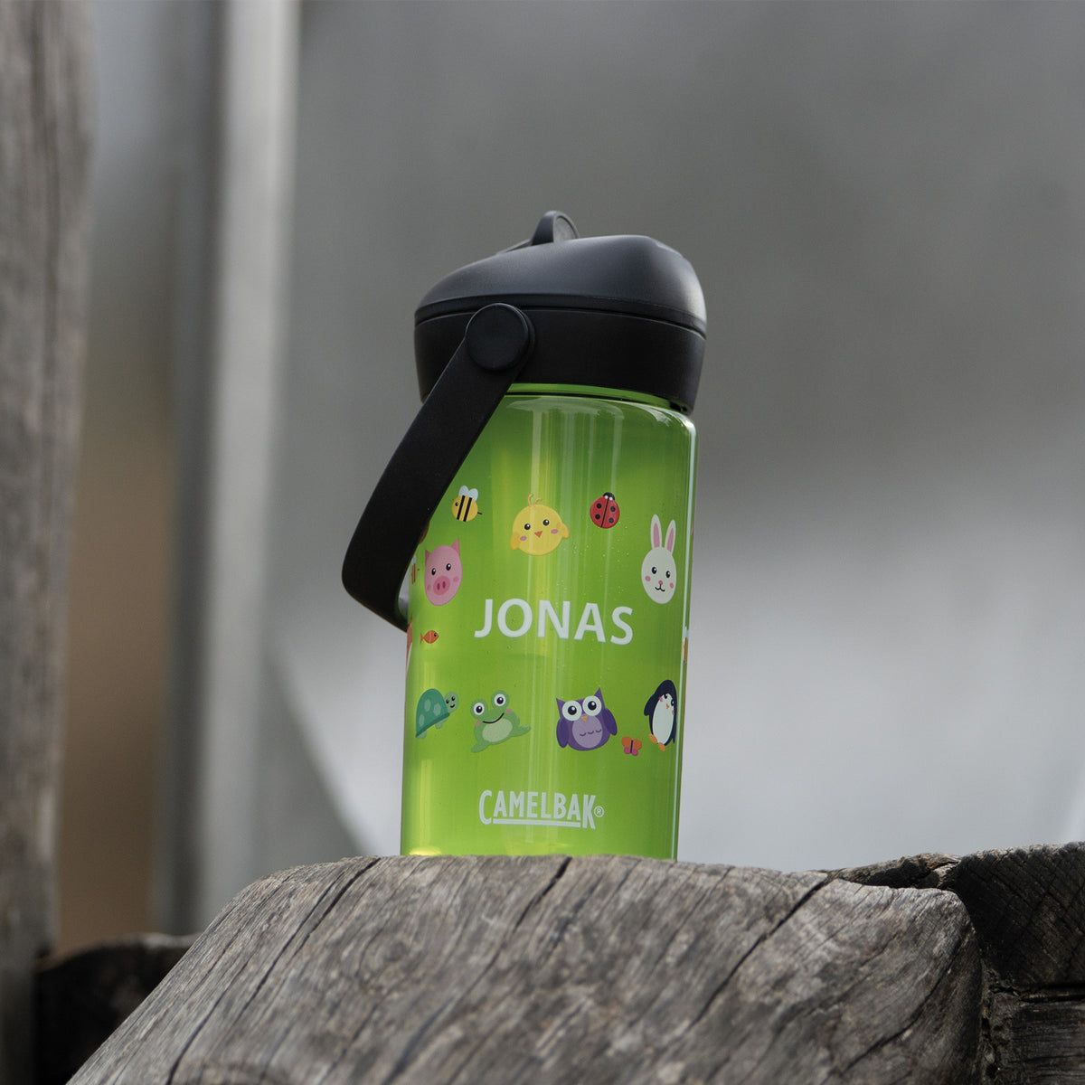 Camelbak Thrive Flip Straw X Kids Design Animals