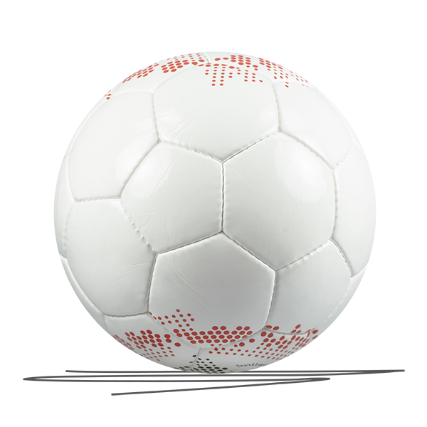 BALLERISTO PROFESSIONAL